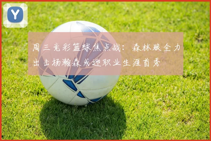 周三竞彩篮球焦点战：森林狼全力出击杨瀚森或迎职业生涯首秀
