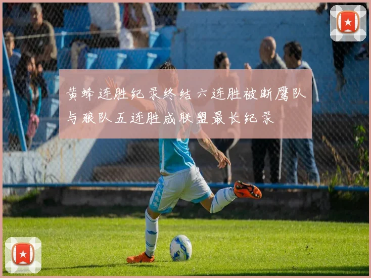 黄蜂连胜纪录终结六连胜被断鹰队与狼队五连胜成联盟最长纪录
